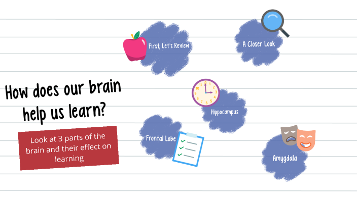 Learning and the Brain by Elyssa Mathy on Prezi