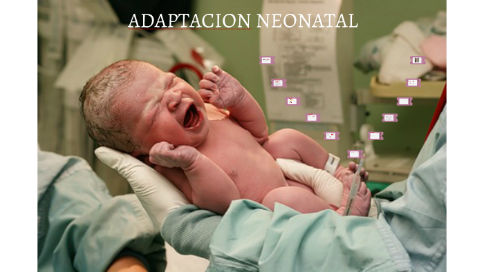 ADAPTACION NEONATAL By OSWALDO BEDOYA On Prezi