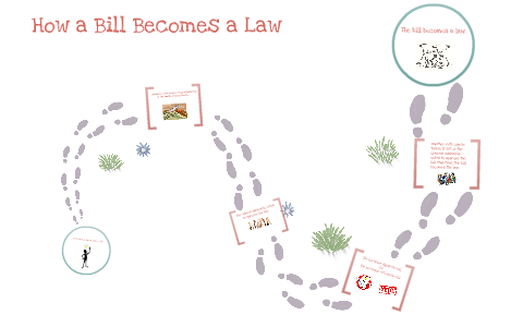 How a Bill Becomes a Law by Amanda Trapani