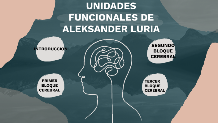 UNIDADES FUNCIONALES DE LURIA by Daniel Ruiz on Prezi