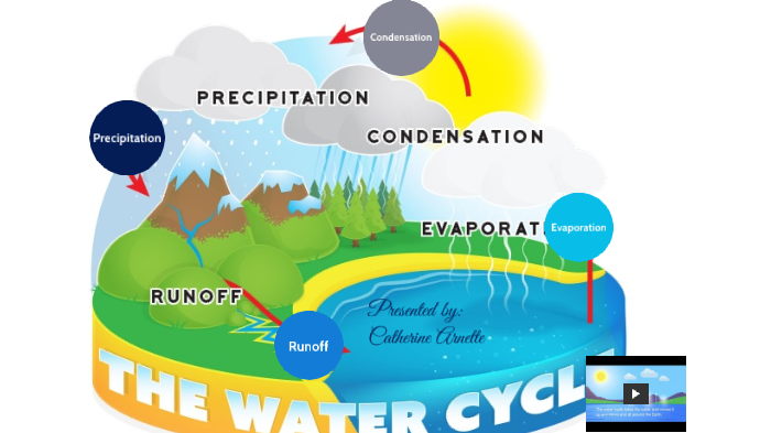 The Water Cycle by Catherine Arnette on Prezi