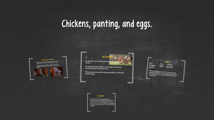 Chickens, panting, and eggs. by jessica balcazar on Prezi