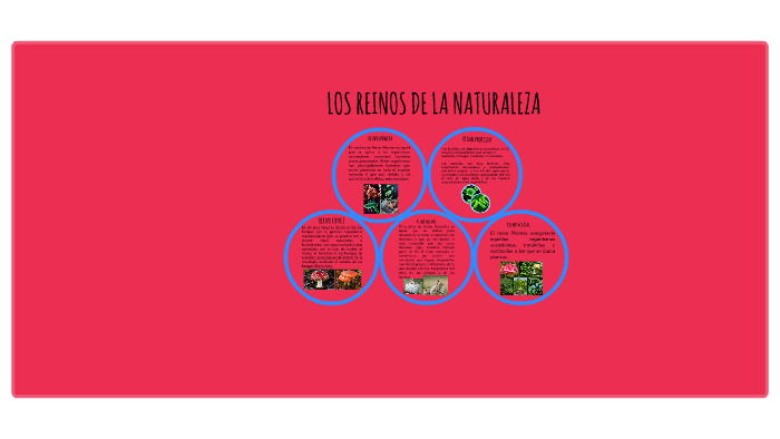 los reinos de la naturaleza by ana lucia andrade cabarcas on Prezi
