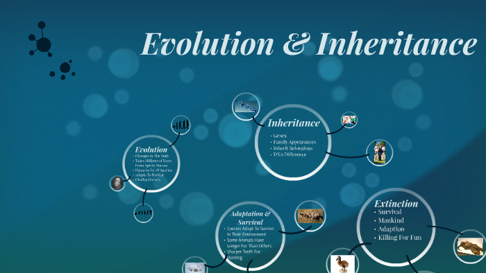 Evolution & Inheritance by Michael Smith on Prezi