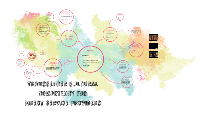 Transgender Cultural Competency for Direct Service Providers by Carly ...