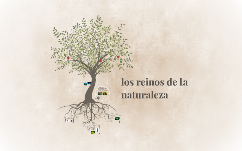 los reinos de la naturaleza by Julian Camilo Muñoz Melo on Prezi