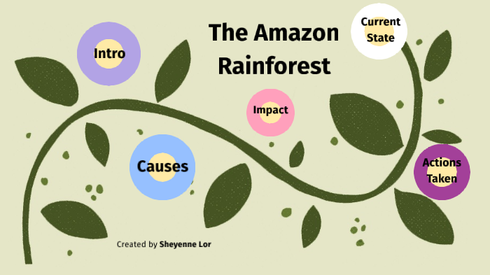The Amazon Rainforest by sheyenne lor on Prezi