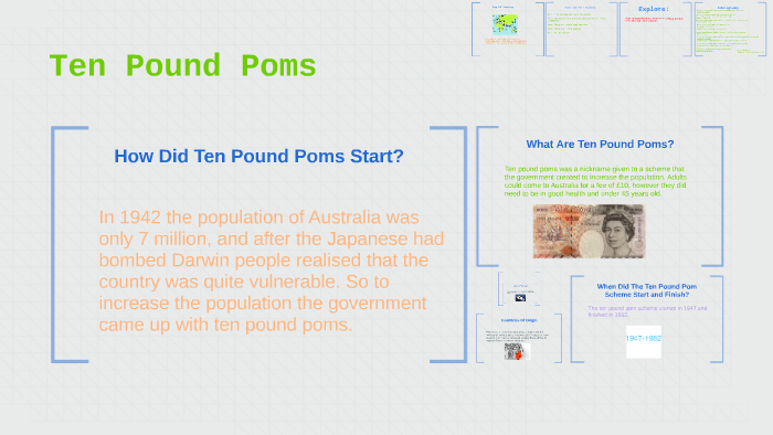 How Did Ten Pound Poms Start By Andy Ruddy On Prezi how-did-ten-pound-poms-start-by-andy-ruddy-on-prezi