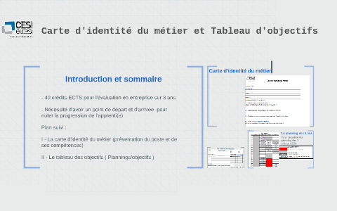 Carte d'identite et Tableau d'objectif by Thomas SYLVESTRE-BARON