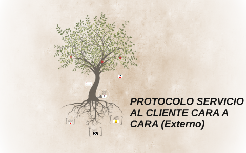 PROTOCOLO SERVICIO AL CLIENTE CARA A CARA (Externo) by Viviana Andrea ...