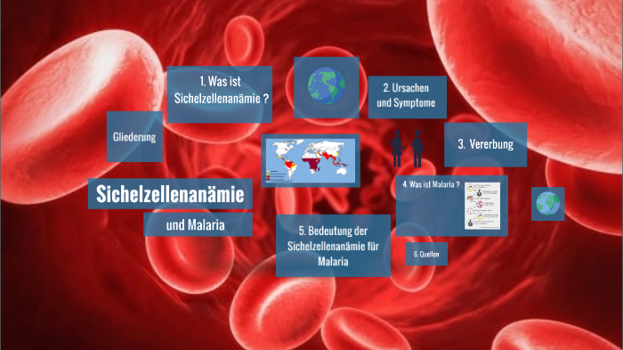 Sichelzellenanamie Und Malaria By Caroline Schaar