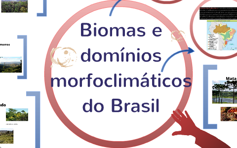 Biomas Brasileiros by Fabiana Soares on Prezi