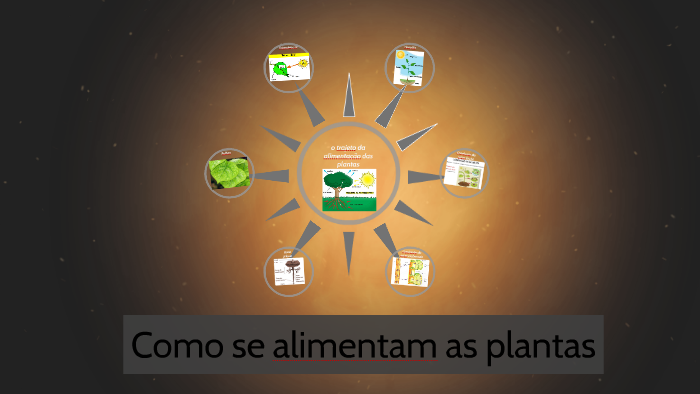 Como se alimentam as plantas by mariana mc on Prezi