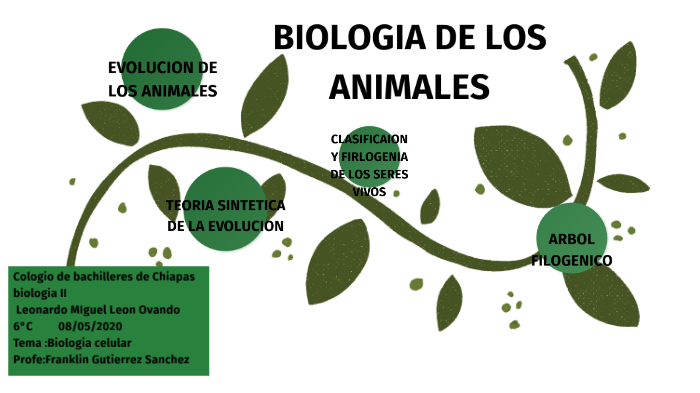BIOLOGÍA DE LOS ANIMALES by I am LEON