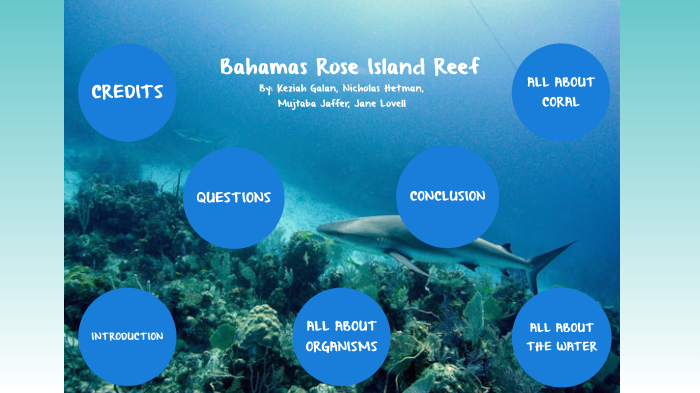 Rose Island Reef by Felixe Keziah Galan on Prezi