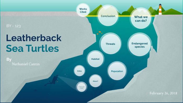Leatherback Turtle by Nate Cantin on Prezi