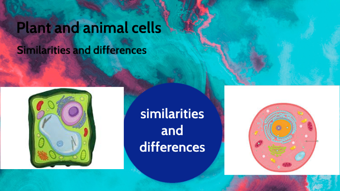 Plant and animal cells by Blake Lenzen on Prezi