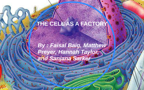 The Cell As A Factory by Faisal Baig on Prezi