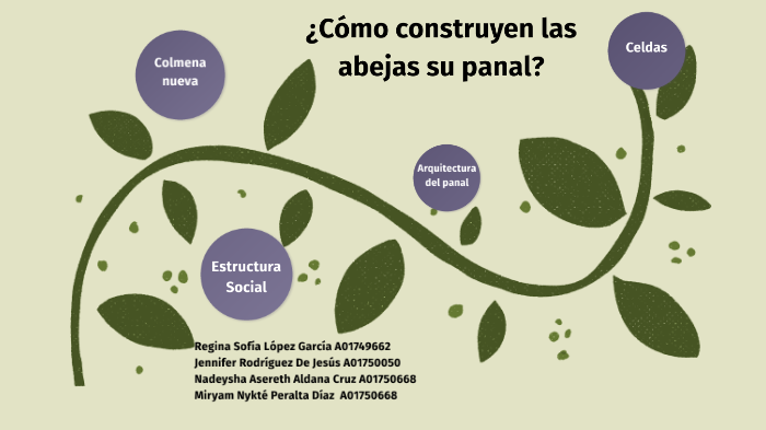 ¿cómo Construyen Las Abejas Su Panal By Cinthya Chávez On Preziemk 2909