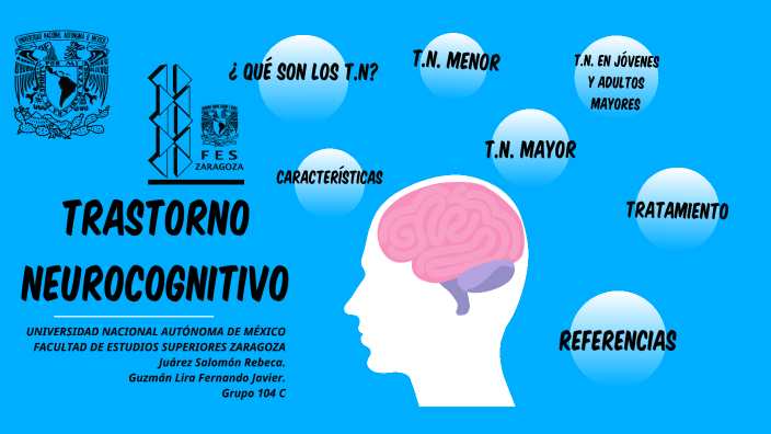 Perfil Neurocognitivo Y Conductual Del Trastorno Del Espectro