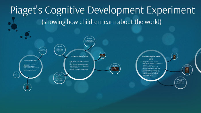 Piaget's experiments best sale on cognitive development