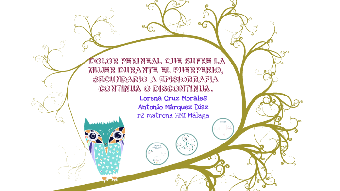 dolor perineal xd 3