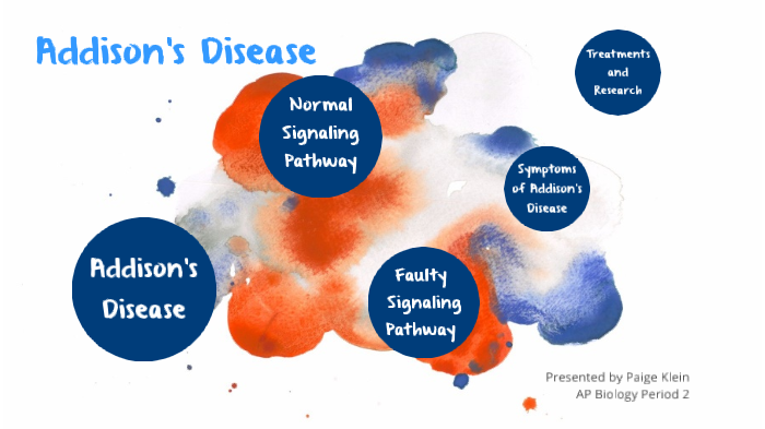 Addison's Disease by Meredith Klein on Prezi