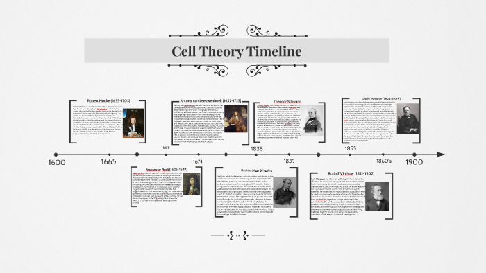 Cell Theory Timeline by Aiman Mirza on Prezi