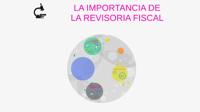 La Importancia De La Revisoria Fiscal En Colombia By Maria Alejandra