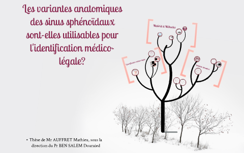 Could Sphenoid Sinuses be used to identify a body? by Mathieu AUFFRET