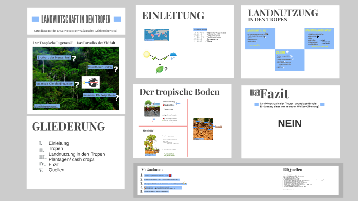 Landwirtschaft in den Tropen by Melina A Lao on Prezi