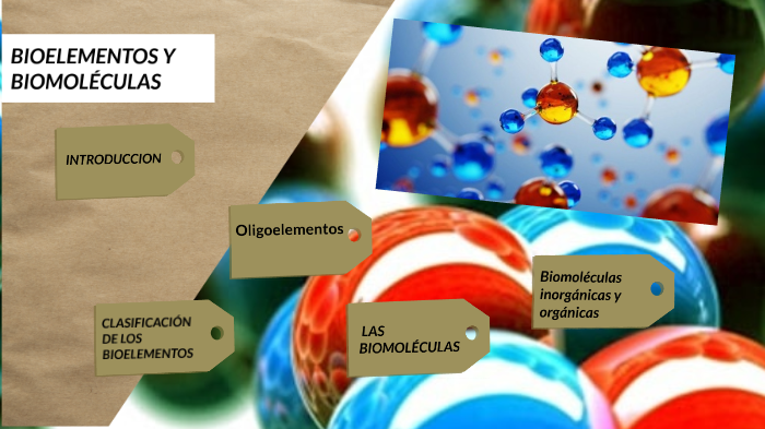 los bioelementos y biomoléculas by Ian Stevan Orobajo Cipamocha on Prezi