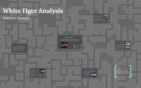 the white tiger analysis essay