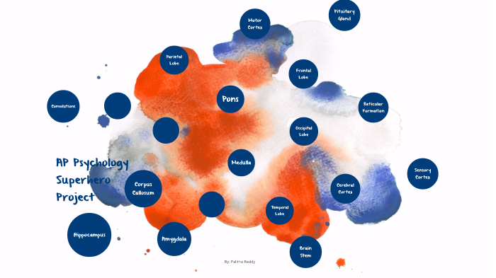 Ap Psychology Superhero Brain Project By Palitha Reddy