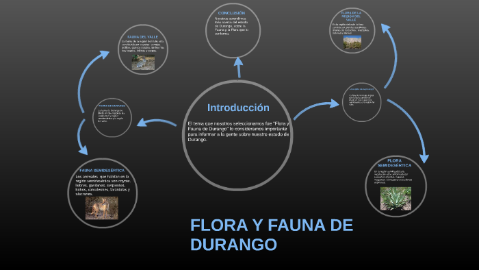 FLORA Y FAUNA DE DURANGO by Israel Salazar on Prezi Next
