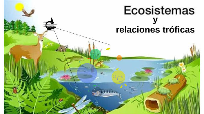 Ecosistemas by Orne Saullo