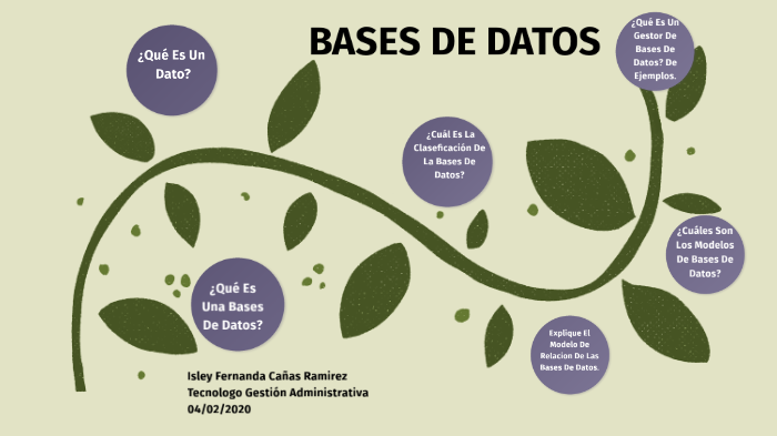 BASE DE DATOS by ISLEY FERNANDA CANAS RAMIREZ on Prezi