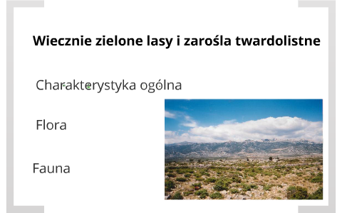Wiecznie Zielony Las I Zaro la Twardolistne By Marta Klec On Prezi