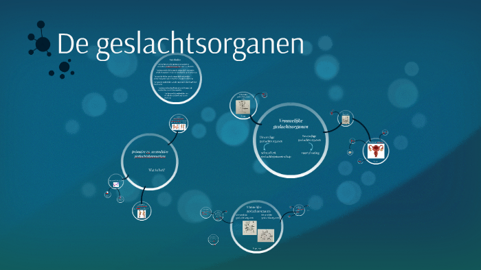 De geslachtsorganen by on Prezi