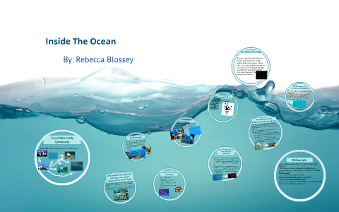 The Ocean by Rebecca B. on Prezi