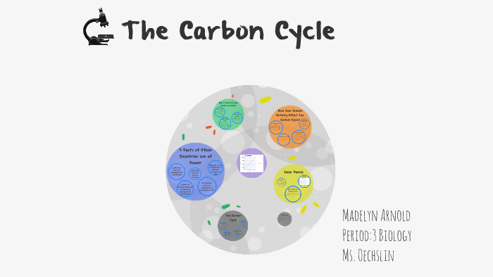 Carbon Cycle by Maddie Arnold on Prezi