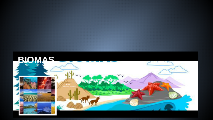 BIOMAS by lara dwojak on Prezi