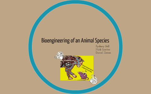 Bioengineering of an Animal Species by Bio Biology