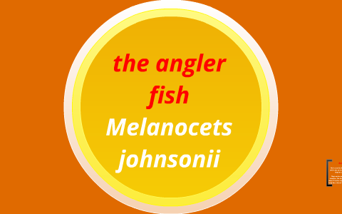 the angler fish by shayne mercer on Prezi