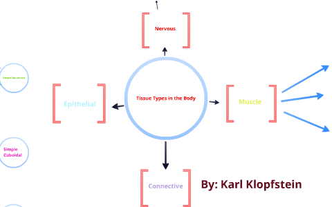 tissue types in the body concept map Tissue Concept Map By Karl Klopfstein tissue types in the body concept map