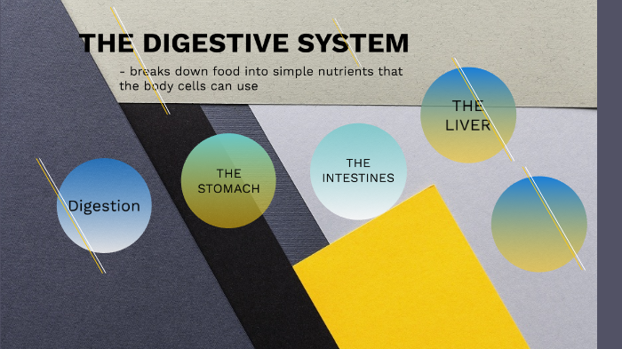 THE DIGESTIVE SYSTEM by Sweety Sweetzl on Prezi
