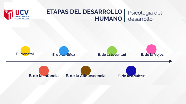 etapas del desarrollo humano by RICHARD ALEXANDER BOBADILLA QUISPE