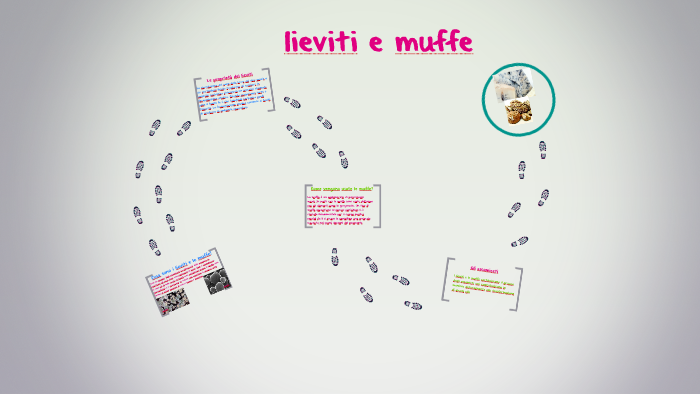 lieviti e muffe by Giorgi Pinna on Prezi