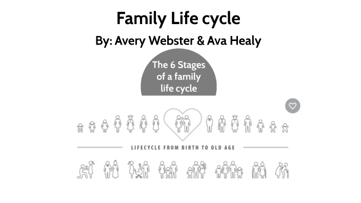 family-life-cycle-by-ava-healy