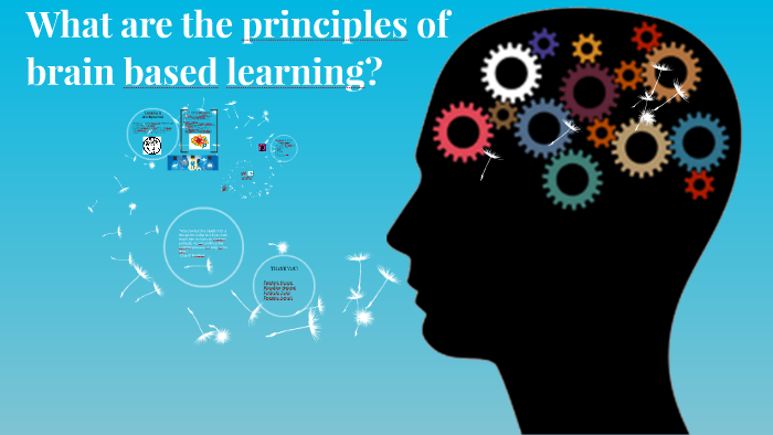 What Are The Principles Of Brain Based Learning? By Shkurta Musiqi On Prezi